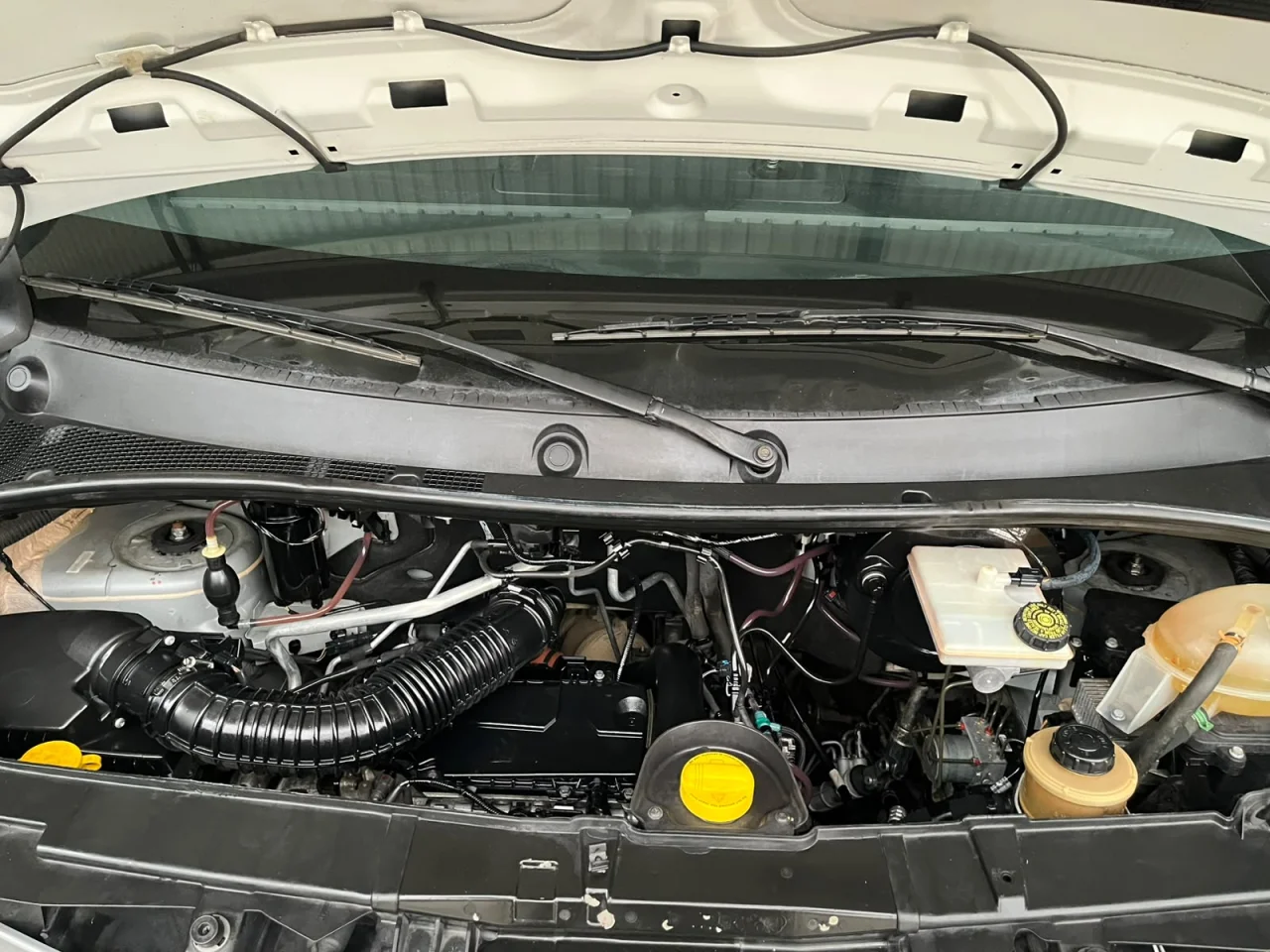 Renault/Master Mbus L3H2 16 Lugares 2018/2019